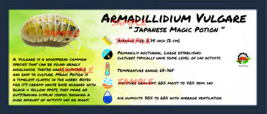 Armadillidium Vulgare Japanese Magic Potion Isopod Bin Label